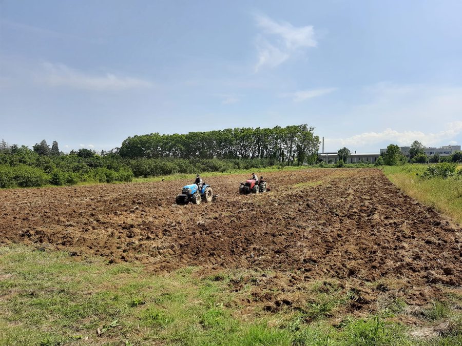 Field Trial Site