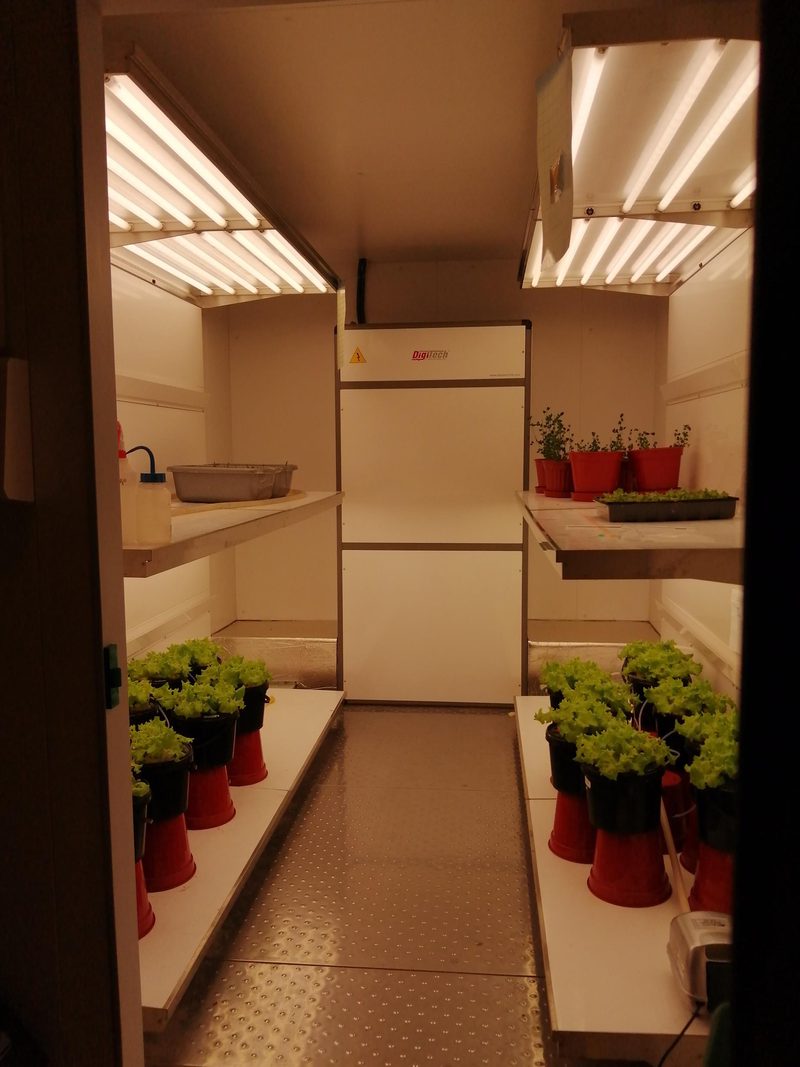 The plant growth chamber