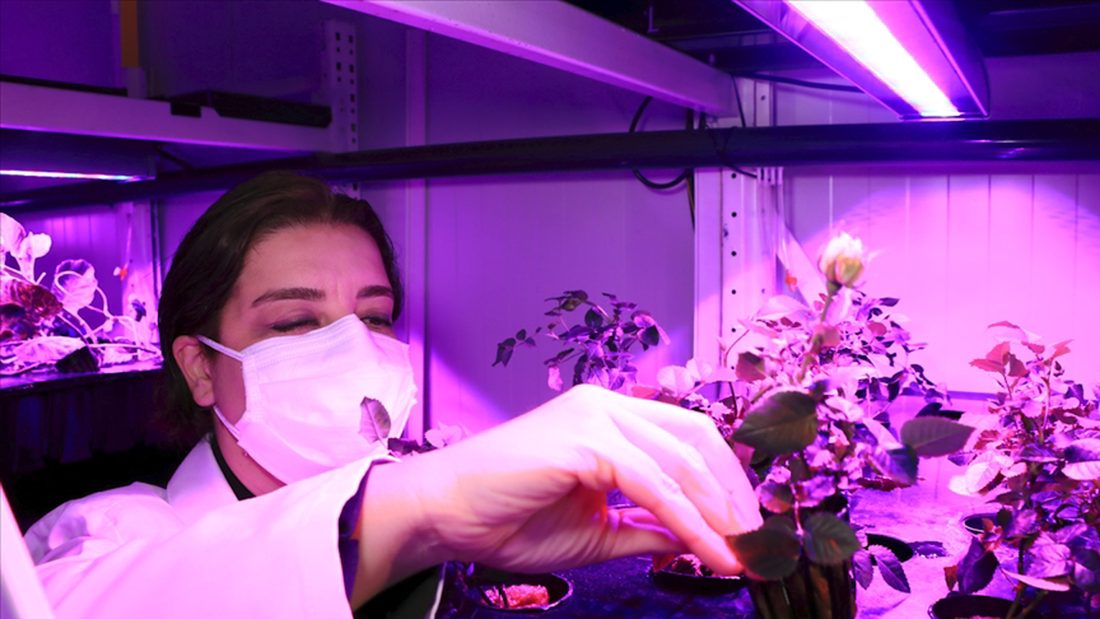 Ten times the yield per unit area with vertical farming on our campus