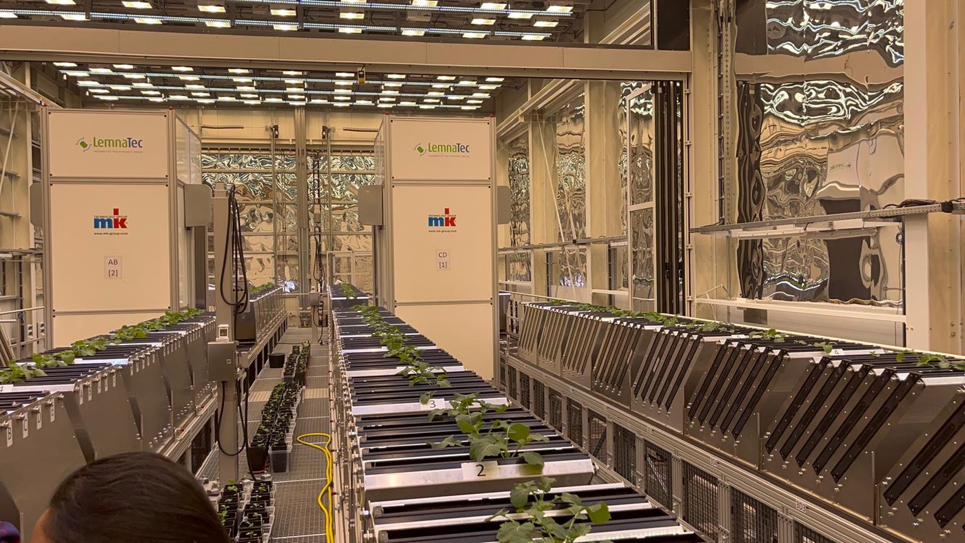 Automated plant phenotyping platform at IPK