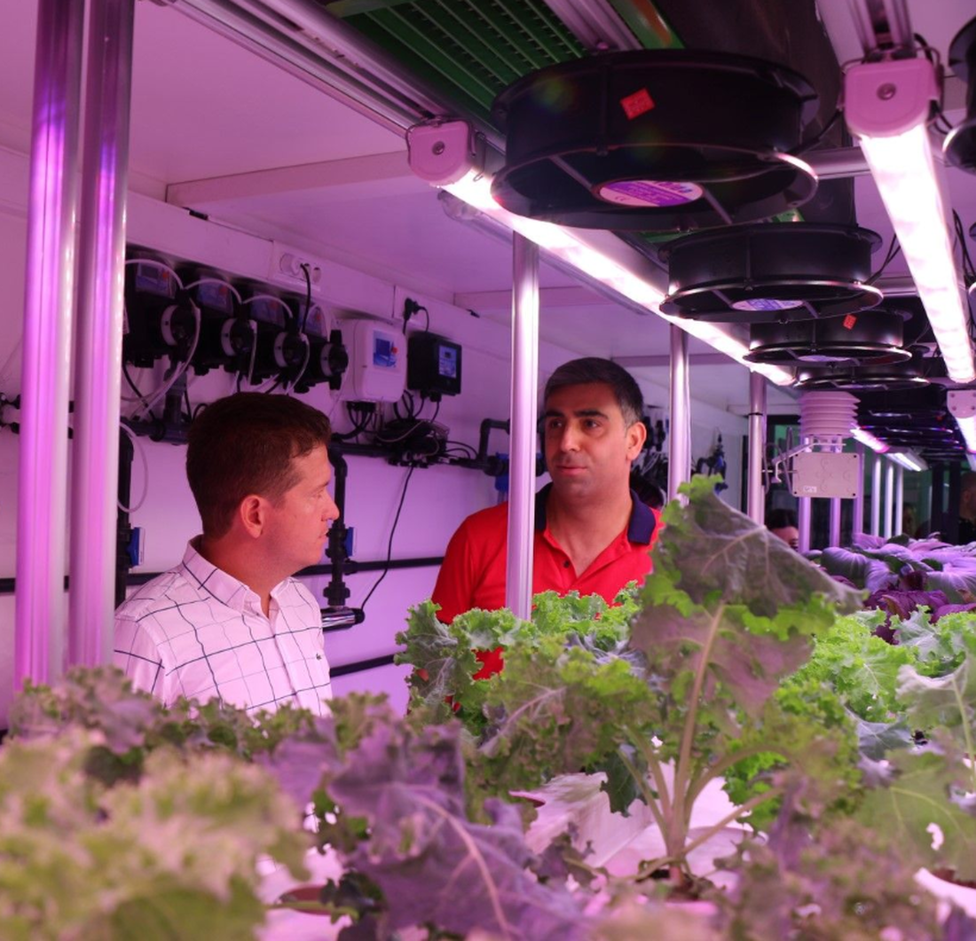 Soilless & vertical farming
